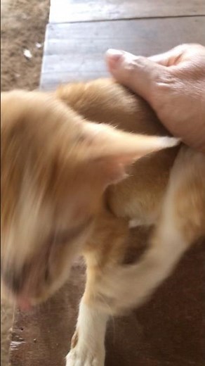 Joi is hungry, Mom.