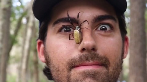 Topwater Bass Fishing From Canoe: Action and Tips