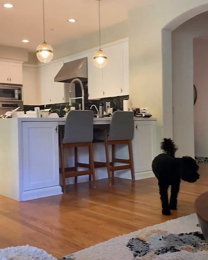 January Jones looks fabulous in her latest bikini selfie as she enjoys beach day