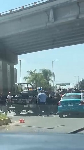 351K views · 3K reactions | Luis Santiago Garguz on Reels | Facebook