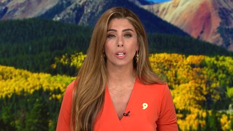 Emagine Entertainment to renovate shuttered AMC Theatre in Parker