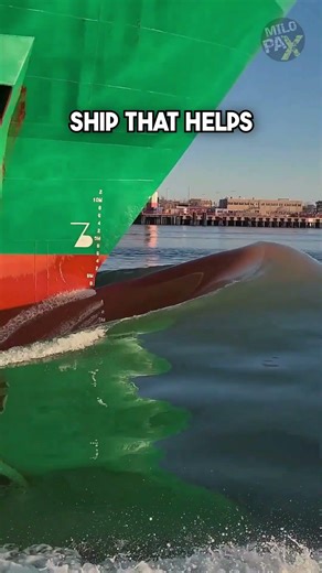 What is this Big Bump in front of the ship #milopax