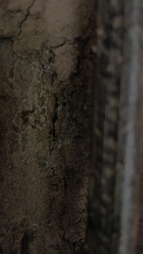 Do you know what's in your walls? We do. Follow along with us for Termite Awareness Week as we share information on termites, how to spot them, and the risks they pose.