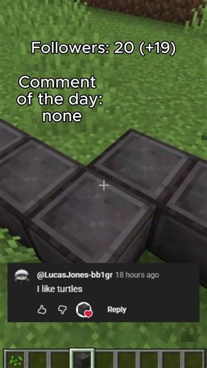 Placing 1 Netherite block per follower day 2 #shorts #day2 #fyp #viral #minecraft