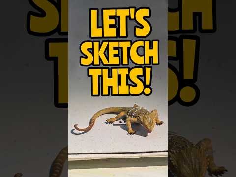 Texas Horned Lizard - Sketch Daily day 382!