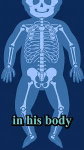 From 300 bones to 206: The skeleton’s hidden shift