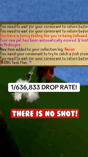 One of the rarest drop rates in OSRS 😱😱 #osrs #osrsshorts #osrsgrind #osrspet