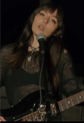 Animosity: Unveiling Relationships in a Delusional Forest