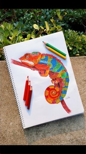 Colorful Chameleon🎨🦎Realistic chameleon🌈#chameleon#chameleondrawing#realisticdrawing#animaldrawing