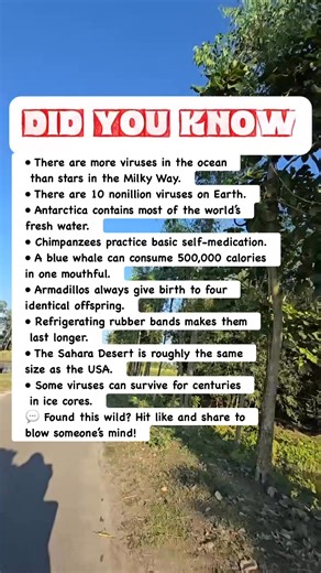 Unbelievable Earth Facts You’ve Never Heard! #facts | Devlop Express