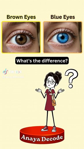 Brown vs Blue vs Hazel vs Amber vs Gray vs Green Eyes Explained | Rarest Eye Color Revealed #DifferenceBetween #EyeColor #RarestEyeColor #KnowYourEyes #KnowTheDifference