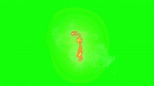 Download Explosions Smoke And Fire VFX Elements on a green screen for free