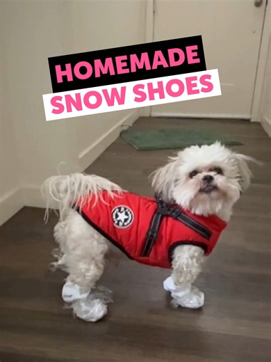 Homemade Snow Shoes for Dogs: Winter Fun!