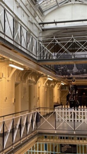 Martin Frizell on Instagram: "How do you fix the prison system that gave rise to the scandal of the freed felons? Britain’s jailers are the laughing stock of the world, not the prison officers, but the managers and mandarins who pretend to run the system. So says Professor of Criminology and former prison governor David Wilson. Hundreds of inmates are being released by accident every year, the latest an Algerian sex offender who walked free from Wandsworth jail - just a few streets away from me!