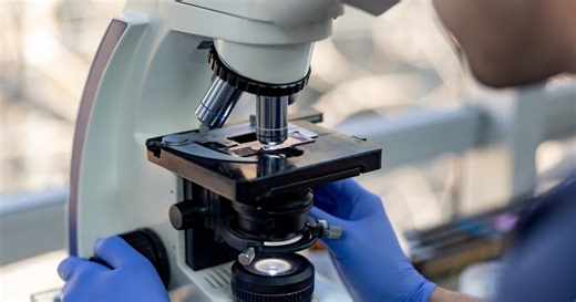 Nipah Virus Explained: What It Is, Where It’s Been Found And What It Means For Travellers