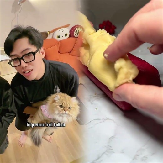 😾 Perbedaan anak di asuh mamak VS bapak woi #kucinglucu #cat