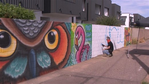 'I want it to inspire happiness': Phoenix muralist cleans up alleyway, transforms it with art