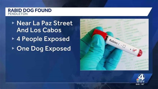 Dog found in Pendleton tests positive for rabies; 4 people exposed, DPH says