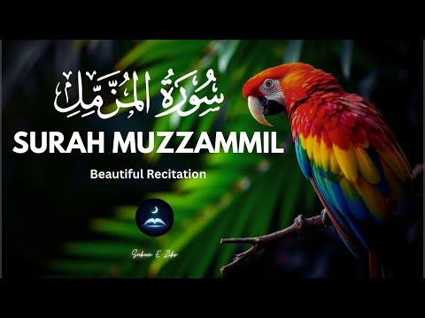 Surah Al Muzzammil | Enshrouded One | سورة المزمل | Sukoon E Zikr