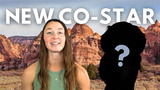 Adopting My Puppy Milo – Meet Our Labradoodle!