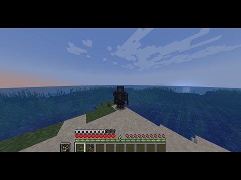 were playing the minecraft mod Dungeons And Combat