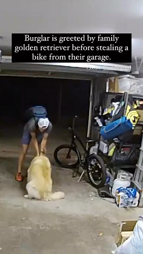 751K views · 120 reactions | “The San Diego Police Department needs...