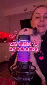 Lap Cuddles + Chewing ASMR 🐾 #shorts