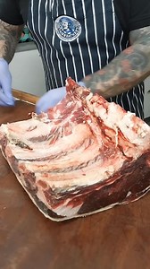 399K views · 2K reactions | Look at this beautiful 35 day mature loin...