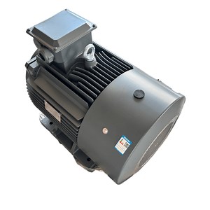 [Hot Item] Innomotics High-Speed Three-Phase AC Motor for Industrial Applications