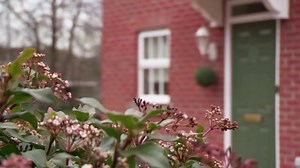 6.4K views · 3 comments | Groom goes to Vegas for 'research' then comes home and marries his bride in a Norfolk shed! | Don't Tell The Bride | Facebook