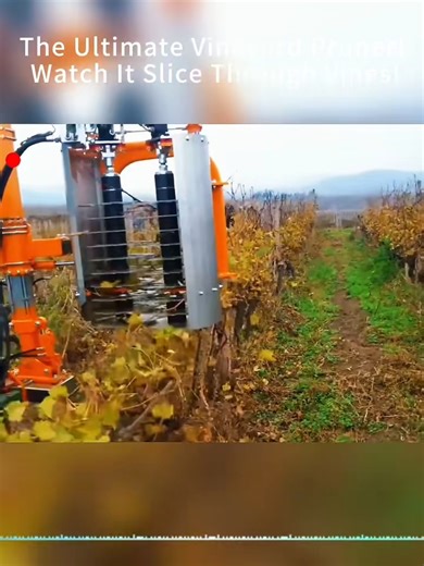 The Ultimate Vineyard Pruner! Watch It Slice Through Vines!#USA#foryou#fyp#foryoupage #VineyardLife | Laugh Lab