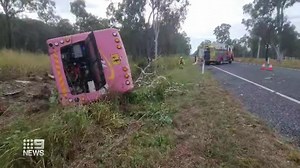 12K views · 207 reactions | A school bus driver has been killed in extraordinary circumstances today. He was beginning the day's pick up run near Rockhampton, when he collided with runaway camels. #9News | WATCH LIVE 6pm | 9 News | Facebook