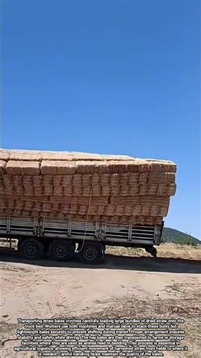 Straw Bale Transport and Loading Process on Truck Bed for Safe Farm Delivery