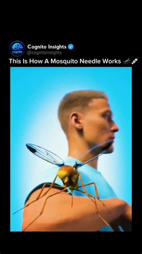 Cognito Insights | You've been stabbed by one of nature's most advanced needles. And you didn't even feel it. 🦟⚡ A mosquito needle isn't one tool—it's six... | Instagram