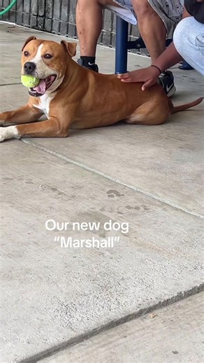 Martin R. Peters (@martinrpeters)’s videos with original sound - Martin R. Peters