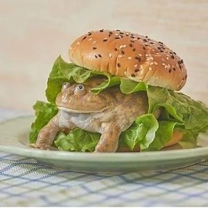 snizzle_dfizzle - Twitch