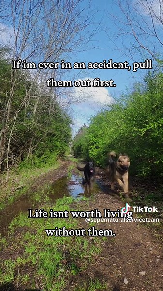 Amber and Amara on TikTok