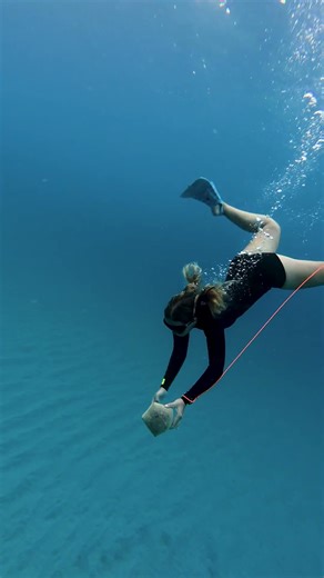 Wave wasn’t built to disrupt how people browse