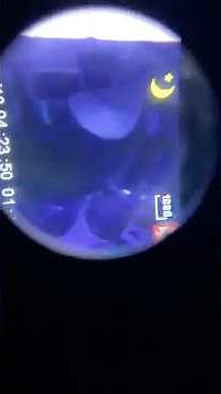 DIY night vision using infared light and a camera