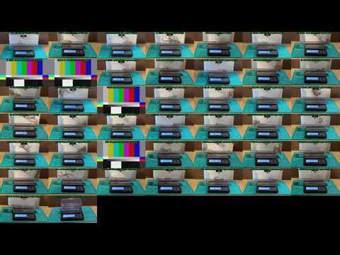 【Memorandum】 2026年01月27日 RPi-Cam-Web-Interfaceを用いたニホンヤモリの卵のTimelapse観察