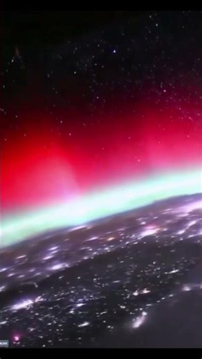 Space Cats accidentally forget to turn off the Northern Lights for Houston😹 #space #northernlights