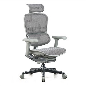 Featherlite Pinnacle High Back Mesh Chair With Multilock Seat Sliding Mechanism & Three Way Adjustable Arms