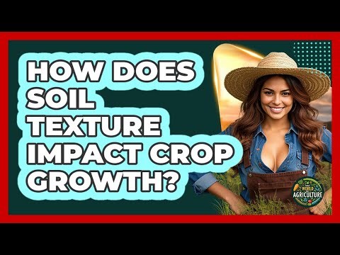 How Does Soil Texture Impact Crop Growth? - The World of Agriculture