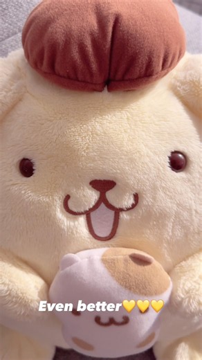 POV: You found the perfect Pompompurin 🥹✨ #sanrio #cute