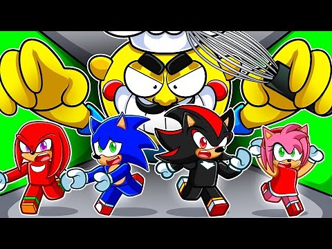 SHADOW ESCAPES MR. MIX IN ROBLOX