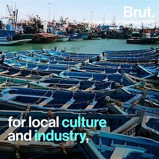 The Mediterranean Basin is the most affected by rising temperatures