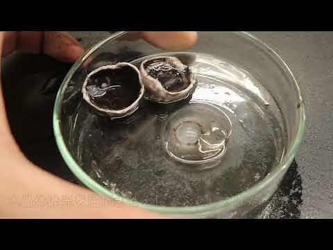 (※解剖動画注意※) 眼のつくりと働き ※解剖が苦手な方はご遠慮ください