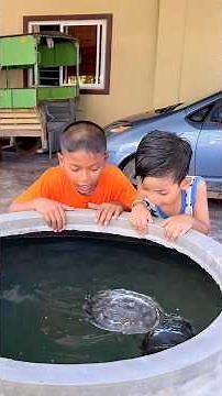 It's a good idea to use a magnet to extract iron from a bucket or jar of water #bushcraft #outdoors