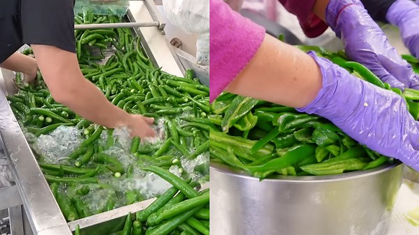 Amazing Chili Pepper Peeling and Saucing Process