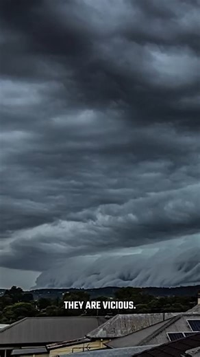 86K views · 833 reactions | The Mistake Crews Can Make #aviation #pilot #aircraft #fblifestyle | MenTour Pilot | Facebook